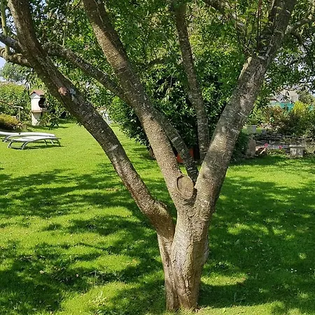 Bed & Breakfast Calme Et Detente Les Moitiers-d'Allonne